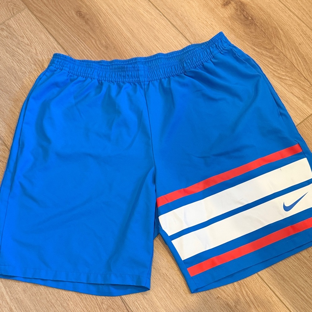 Nike Men's Blue and Red Striped Athletic Shorts